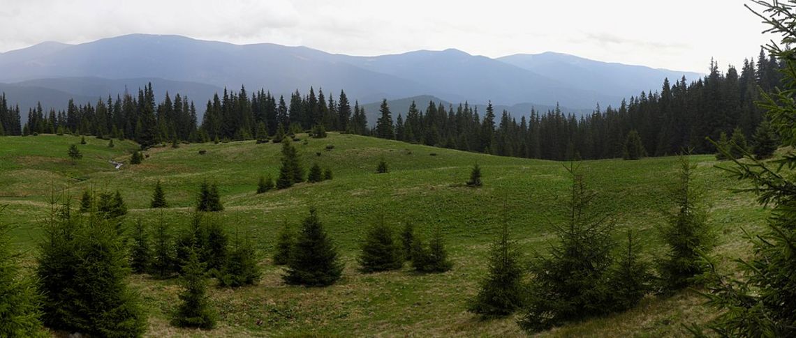 Vimoculars/creativecommons.org