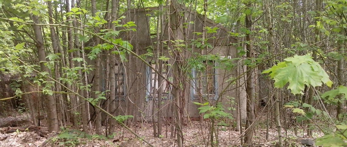 Ігор Васильцов