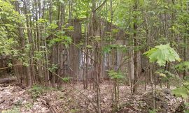 Ігор Васильцов