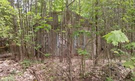 Игорь Васильцов