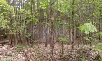 Игорь Васильцов