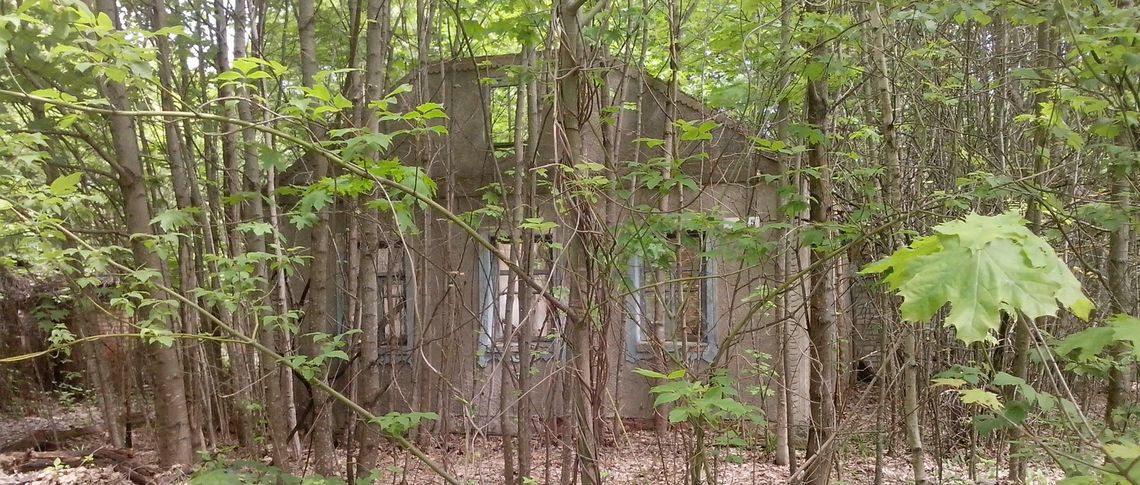 Игорь Васильцов